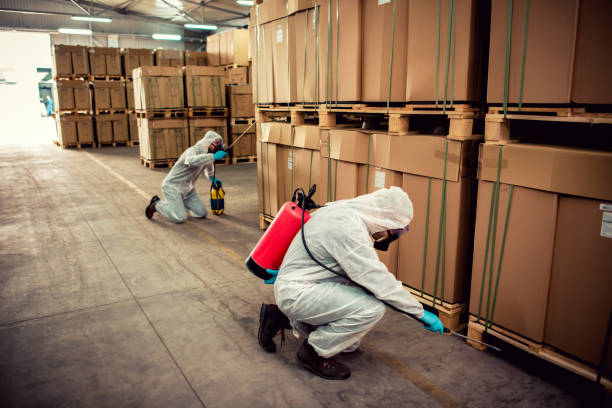 Best Cockroach Control Services  in Brier, WA
