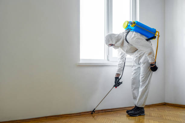 Best Insect Control  in Brier, WA