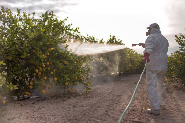 Best Pest Removal Services  in Brier, WA